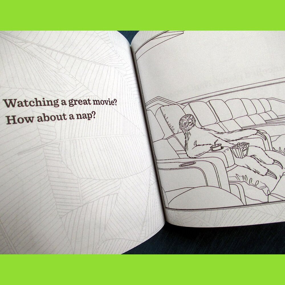 Book: Life Lessons from a Sloth, by Heneghan, Mills, & Sturgeon - Picture 8 of 13